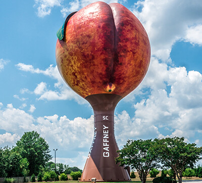 peachoid-sc