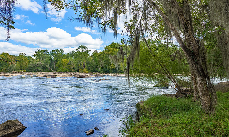 Living-On-The-River-Reserve-On-The-Saluda