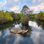 A Glimpse at the Saluda River