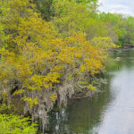 a-glimpse-of-the-Saluda-River