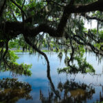 What-To-Love-About-Riverfront-Living